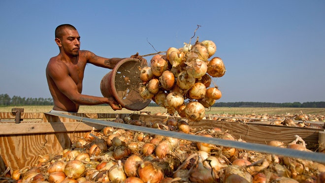 Farmers Immigration.jpg
